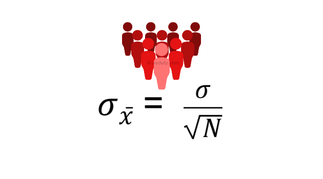 How to Calculate Standard Error in Excel, SPSS & R: Formula & Examples