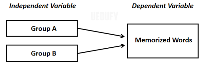 Example 1: Memory Retention Study Conceptual Framework