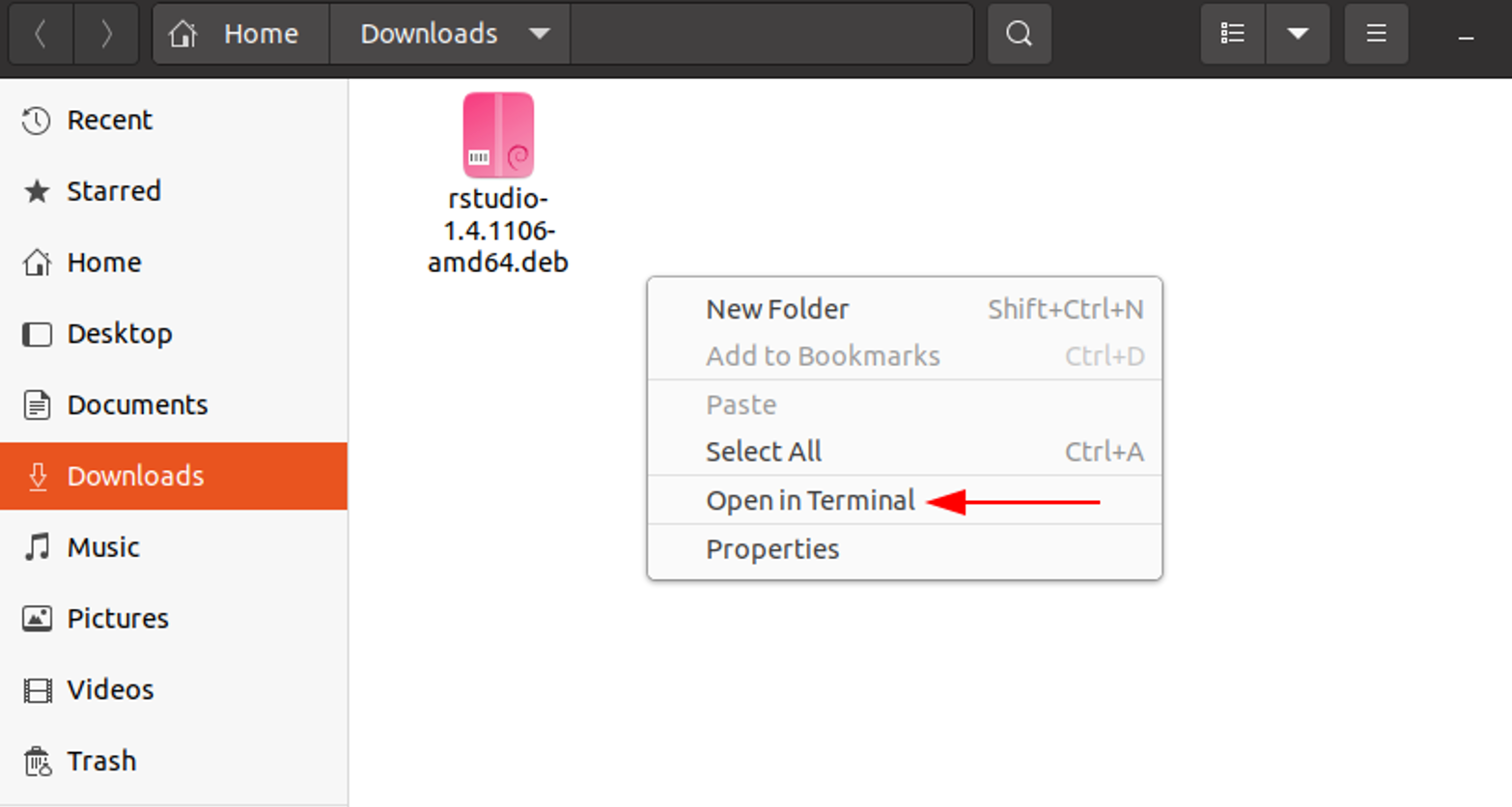 Interfața RStudio IDE care rulează pe Ubuntu Linux afișând consolă și interfața editorului