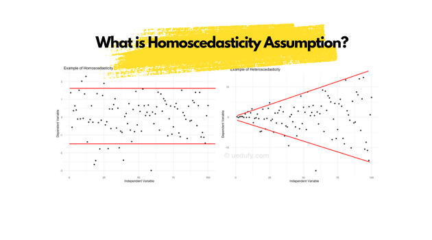 Homoscedasticity คืออะไร? วิธีการตรวจสอบ [อธิบายแบบเข้าใจง่าย]